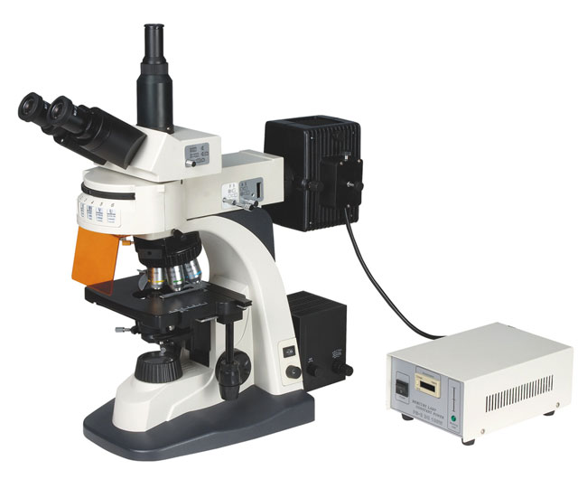 XYL-606型熒光顯微鏡