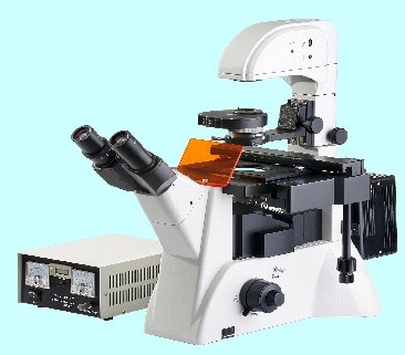 ZC- XDY-2倒置熒光顯微鏡