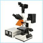 熒光顯微鏡 數碼型熒光顯微鏡 生物熒光顯微鏡
