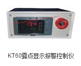 KT60露點顯示報警控制儀 壓縮空氣露點測量儀 干燥除濕露點水分測量 鋰電手套箱耐腐蝕性露點探頭